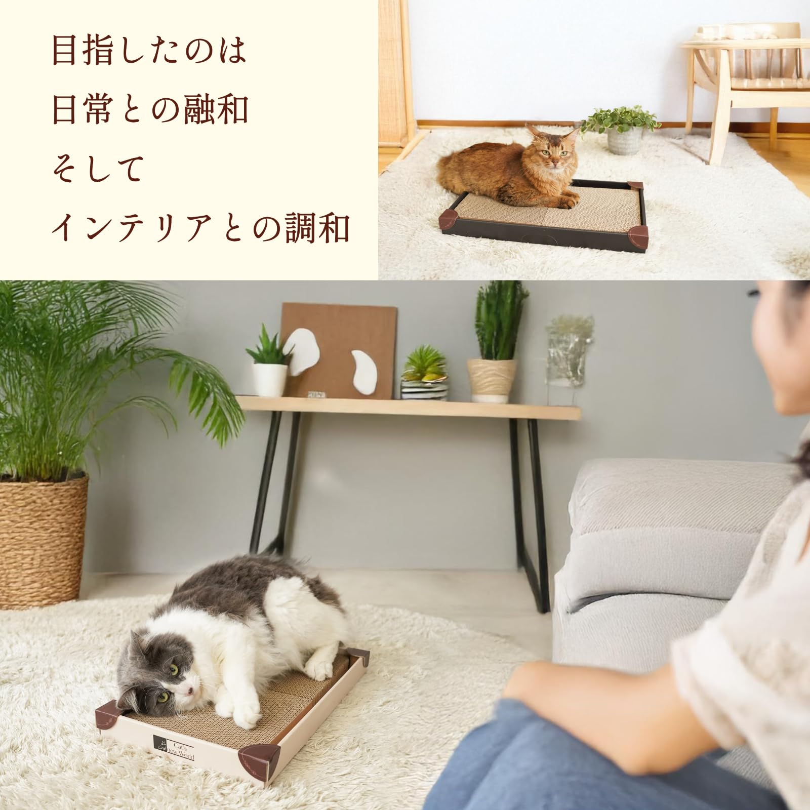 Amazon | Cat's new World くるとぎスクエア 猫の爪研ぎ 360°くるっと